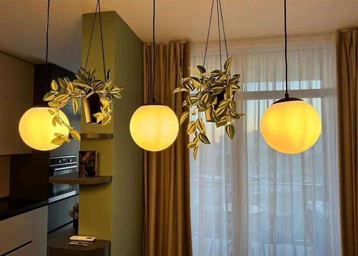 Joy Nord One N2-49 * Timişoara